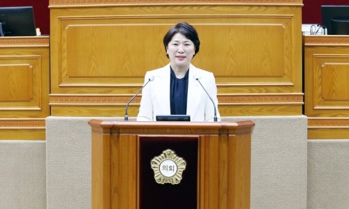 평안정비 이미지