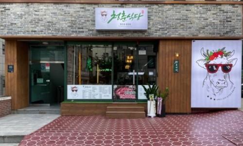 청춘식당 이미지