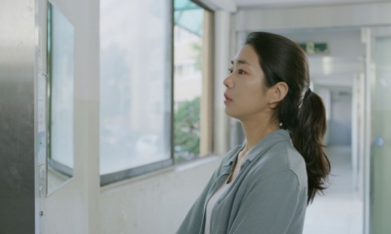 보라정원 이미지