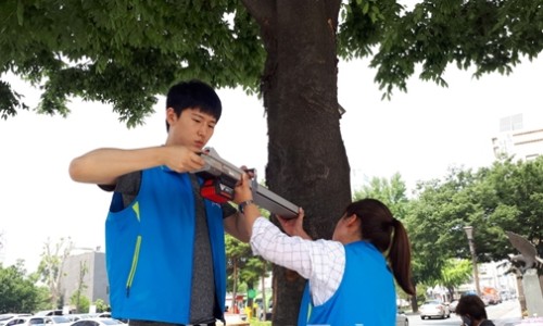 한국식물병원 이미지