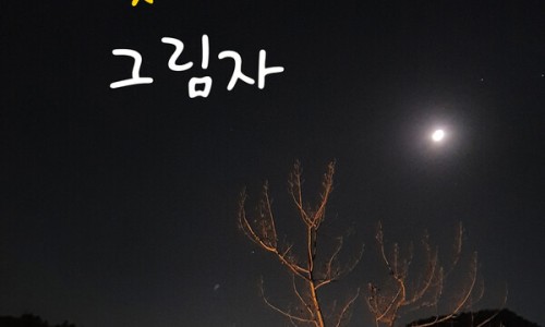 (주)유한헬스케어 이미지