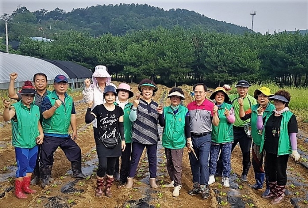 새마을 이미지