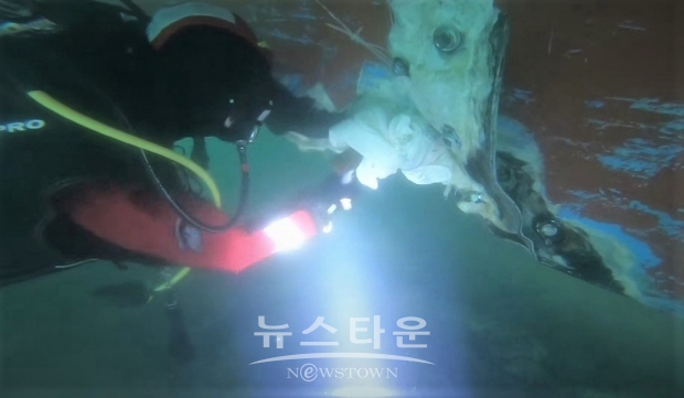 창원해양 이미지