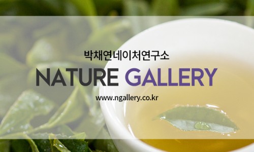 (주)아로마뱅크 이미지