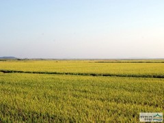소유축산 이미지