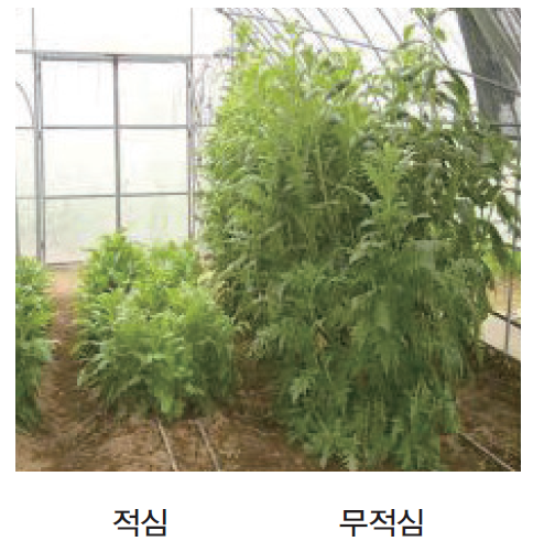 경운초장 이미지