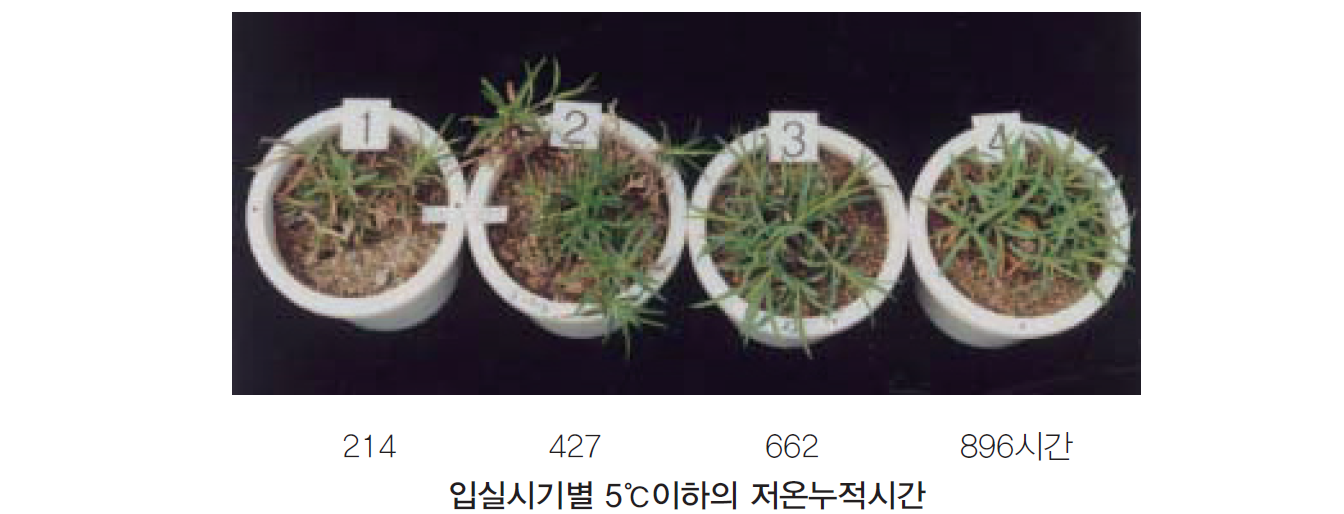 경운초장 이미지