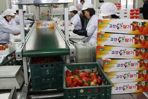 고산농협 경축순환자원화센터 이미지