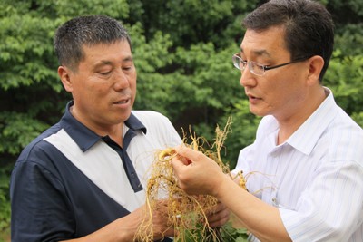 산삼골 이미지