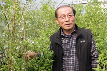 포항블루베리농원 이미지