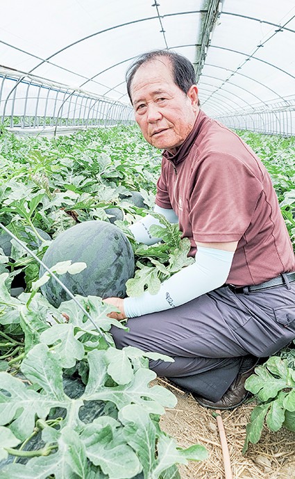 석정농장 이미지