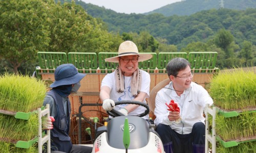 고려대학교 덕소농장 이미지