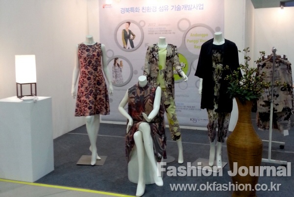 한국인견패션연구원 이미지
