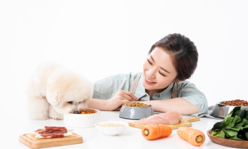 착한먹거리 이미지
