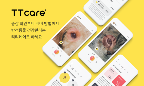 주식회사 한국반려동물신문 이미지