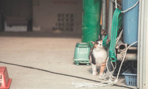 제인해일 이미지