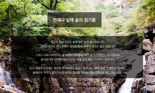 (주)숲에온 이미지