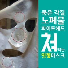 더플랜트 이미지