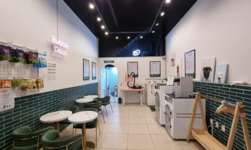 버블독스광주양산점 이미지