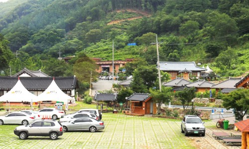 안덕파워영농조합법인 이미지