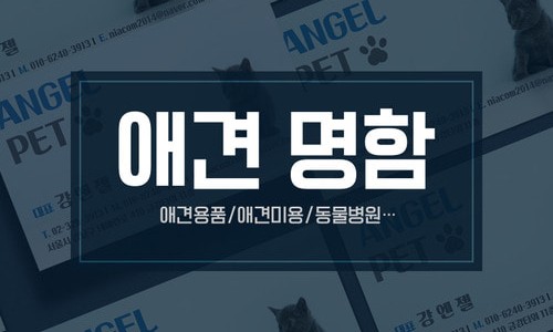 피알천사 이미지