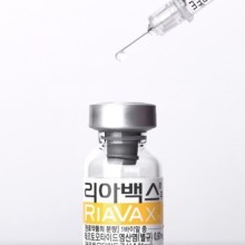 삼성개발주 이미지