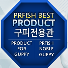 피알닷컴 이미지