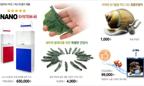 피알닷컴 이미지