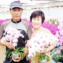 평택문화사 이미지