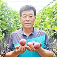 평택문화사 이미지