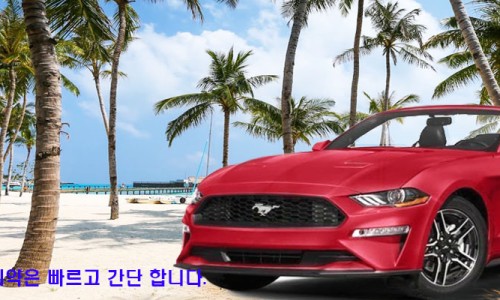 천지렌트카 이미지