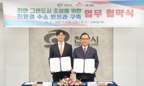 그린 CMS 이미지