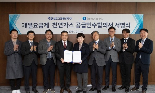 그린 CMS 이미지