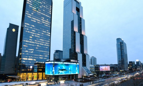 그린 CMS 이미지