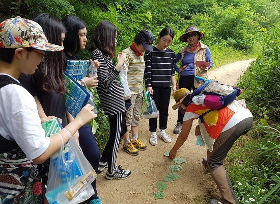양지바른 이미지