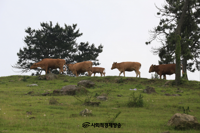 강진완도축산업협동조합 이미지