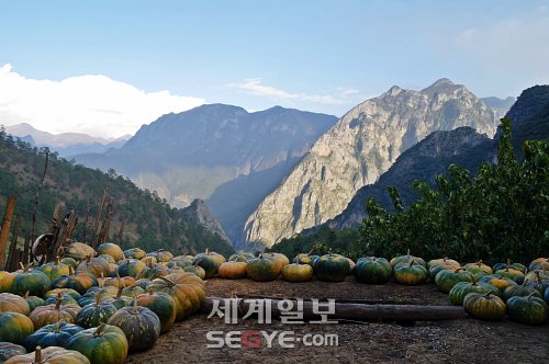여행천국 이미지