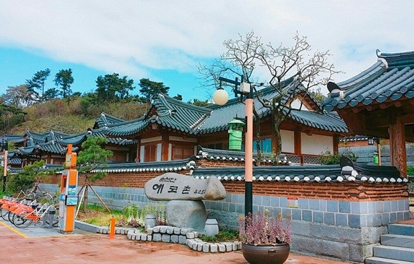 순천만에코촌유스호스텔 이미지