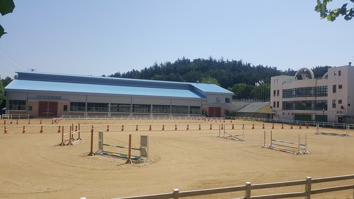 대전승마장 이미지
