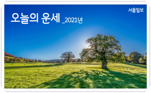 그리운상조 이미지