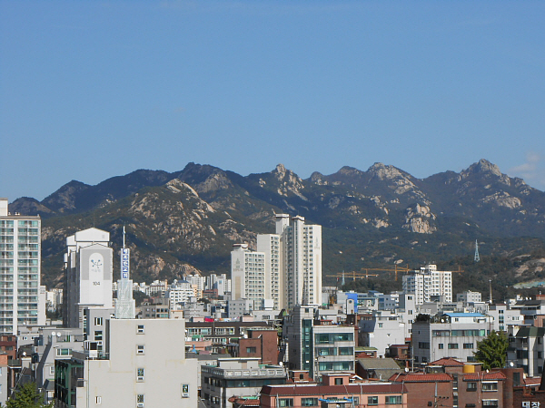 에덴만물상 이미지
