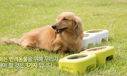 삼광개발주 이미지