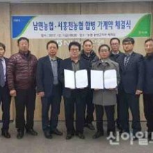 서홍천농업협동조합 이미지