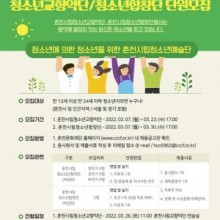 춘천청소년교향악단 이미지
