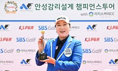 안성감리 이미지