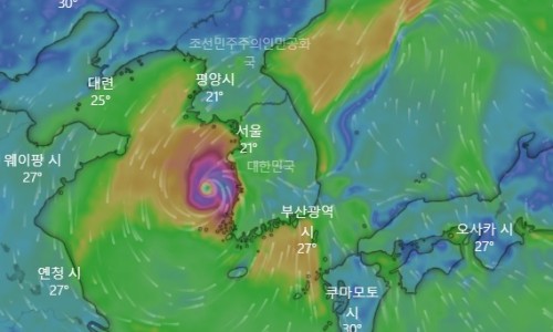 온나라행정사사무소 이미지