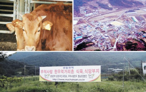 영농한우식육식당 이미지