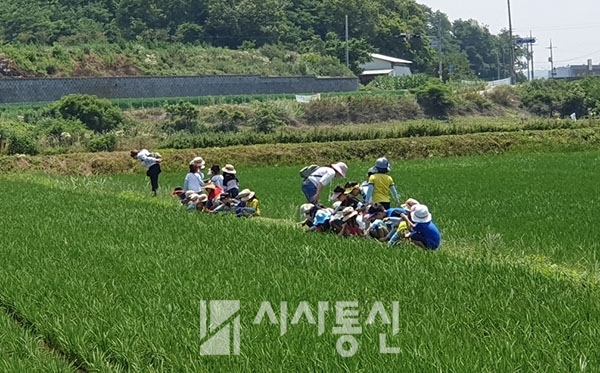 한국인성진흥개발원 이미지