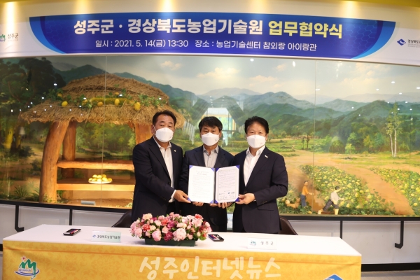 성주복사 이미지