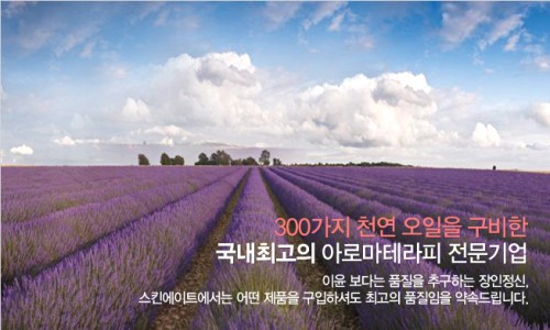 스킨솝 이미지